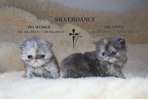 Silverdance Pia Women & Silverdance Orchidée