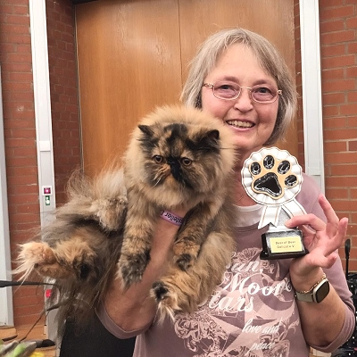 JuCH Almathea Dark Rose of Silverdance