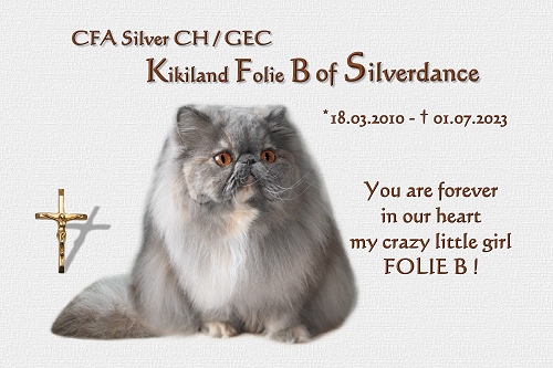 CFA Silver CH / GEC Kikiland Folie B of Silverdance
