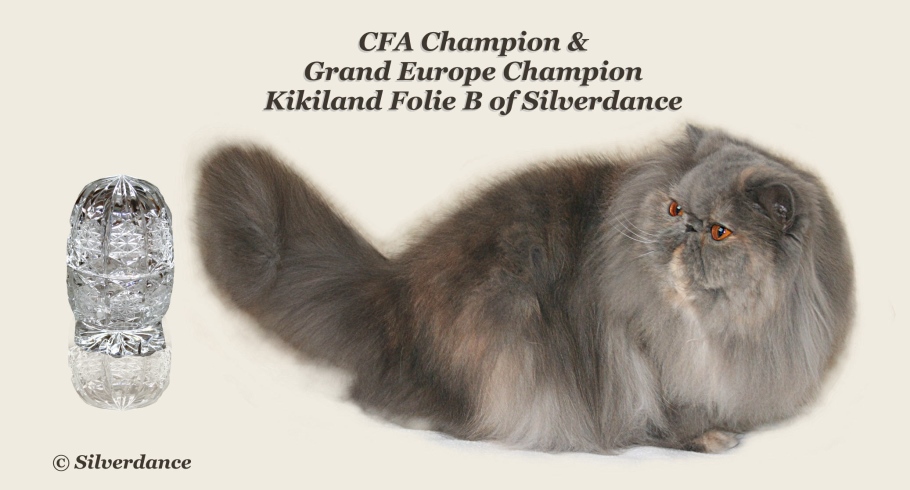 CFA CH/GEC Kikiland Folie B of Silverdance