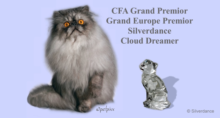 CFA GP/GEP Silverdance Cloud Dreamer