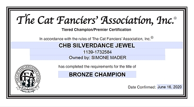 CFA Bronze CH/GEC Silverdance Jewel