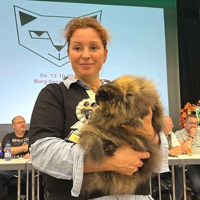 TICA RW QGC SGCA EC Yellicle's Medley of Silverdance