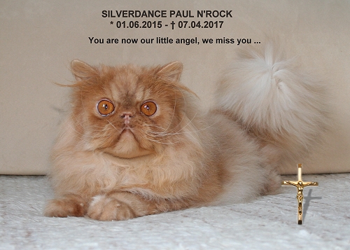 Silverdance Paul n'Rock