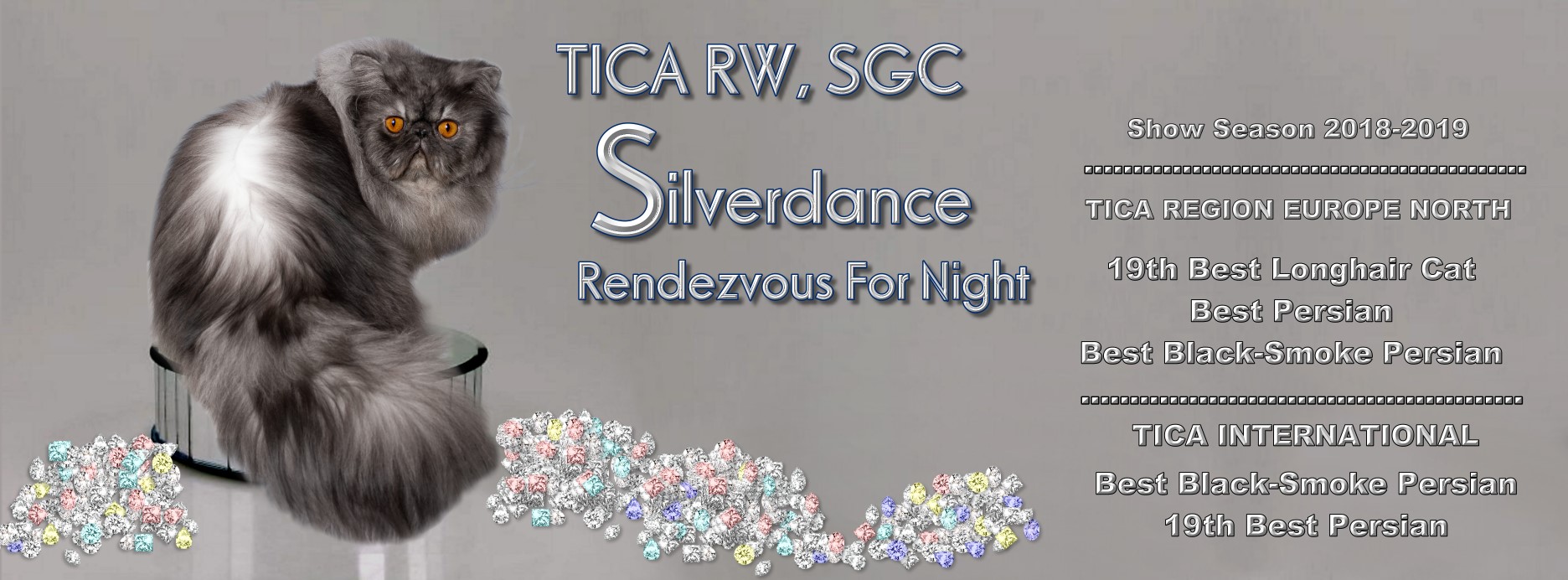 TICA RW, SGC/IC Silverdance Rendezvous For Night