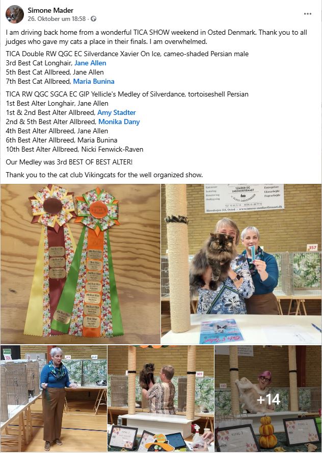 TICA RW QGC SGCA EC Yellicle's Medley of Silverdance